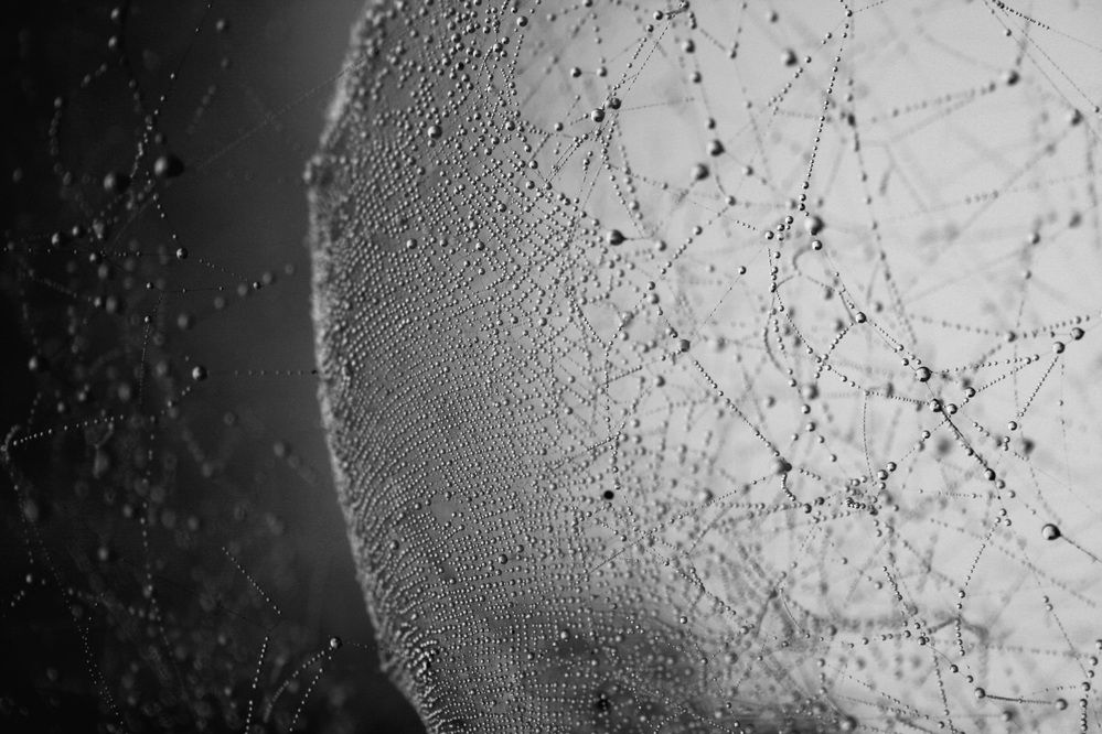 Photograph by shashiranjan prakash