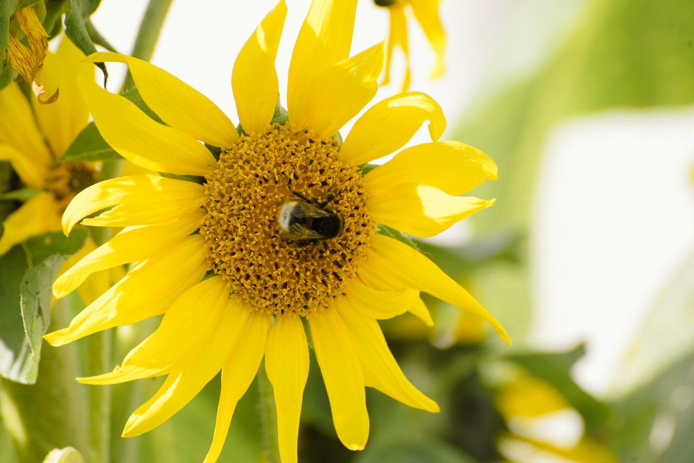 Photograph by Эдуард Шадров