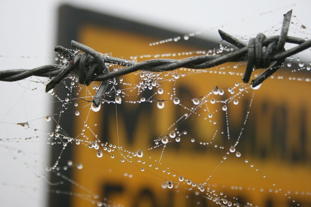 Photograph by shashiranjan prakash