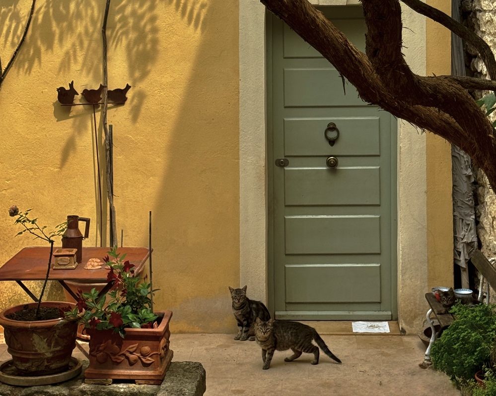 Photograph by Marina Odintsova