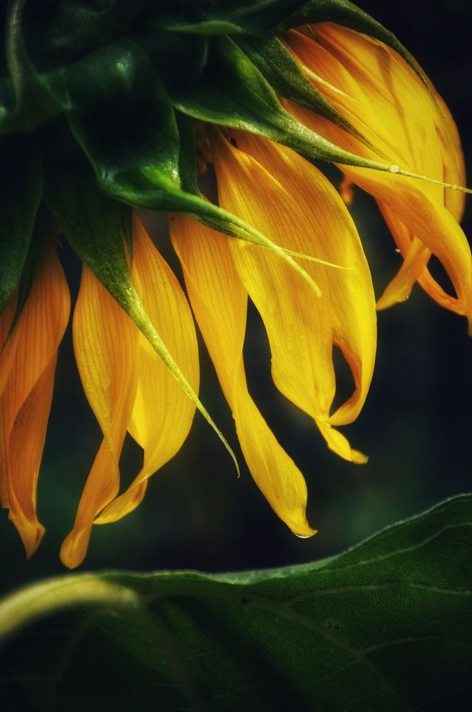 Photograph by Зыкова Мария