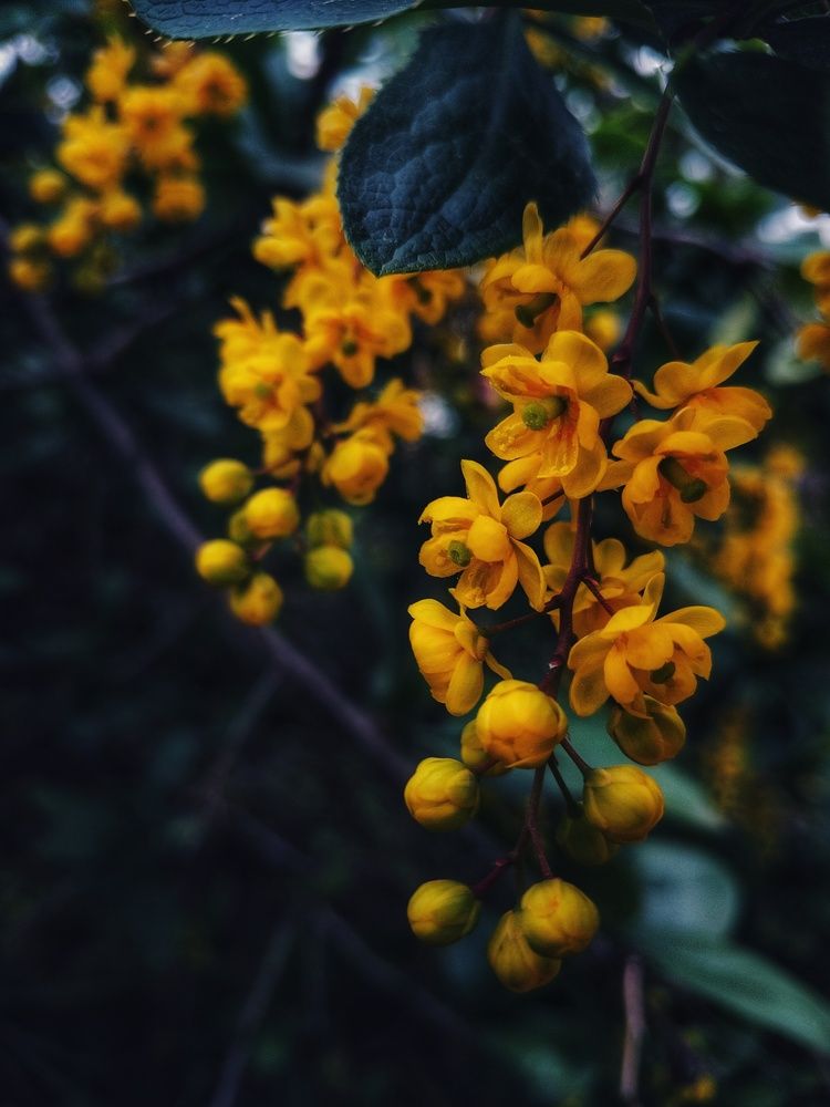 Photograph by Зыкова Мария