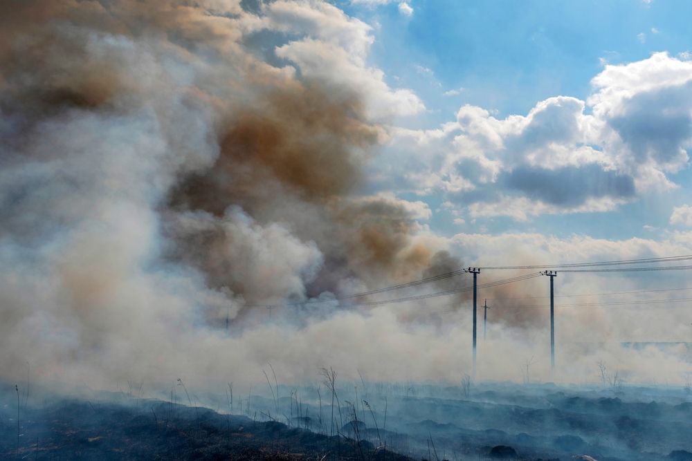 Photograph by Константин Тучин