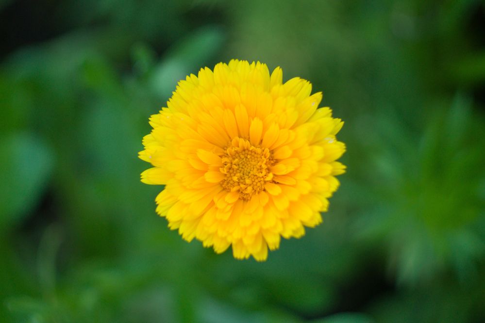 Photograph by Алексей Юдин