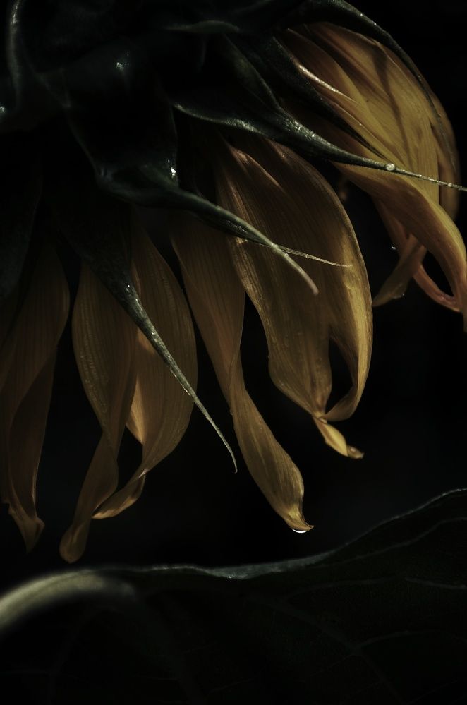 Photograph by Зыкова Мария