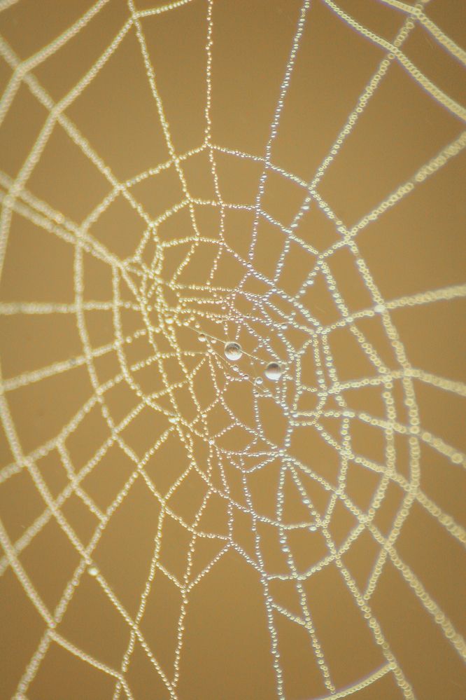 Фотография автора Онучина Юлия