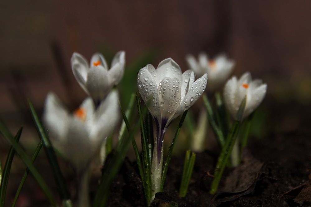 Photograph by Анатолий Чесноков