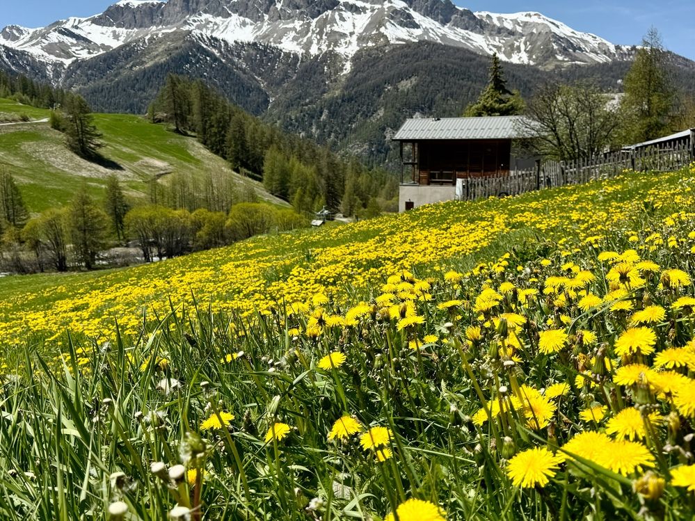 Photograph by Marina Odintsova