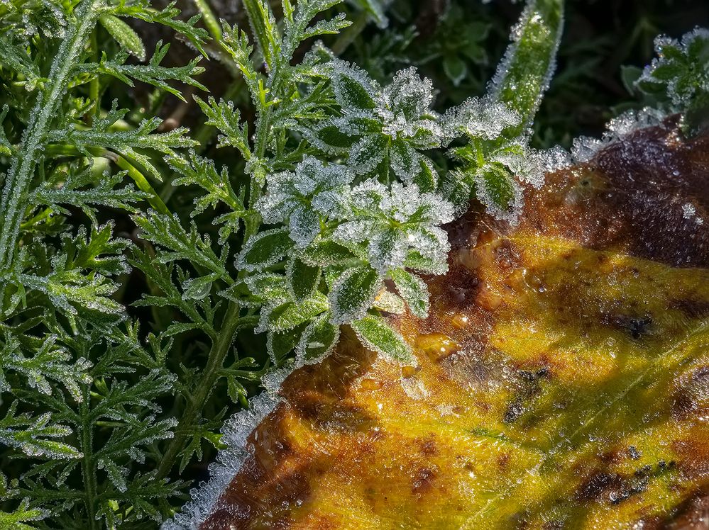 Начало осени