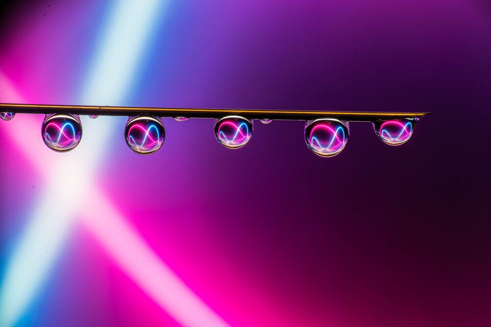 Photograph by Shalini Jain