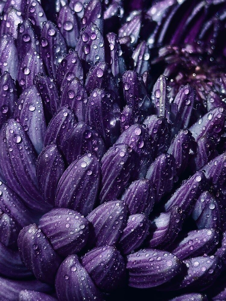 Photograph by Бороздина Мария