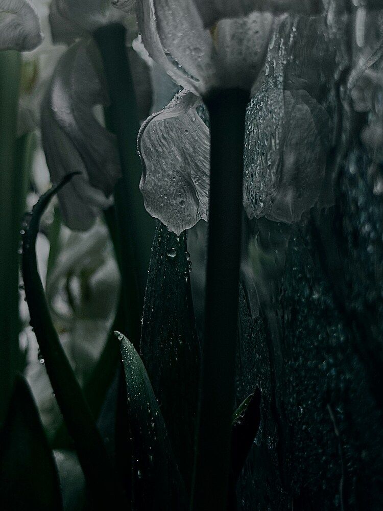 Photograph by Бороздина Мария