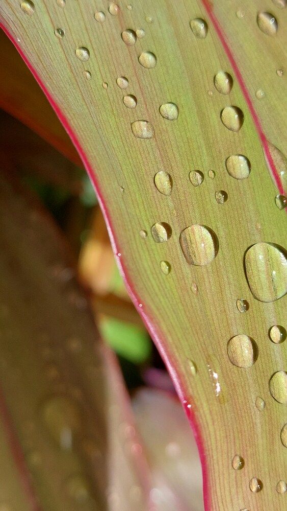 Photograph by Бороздина Мария