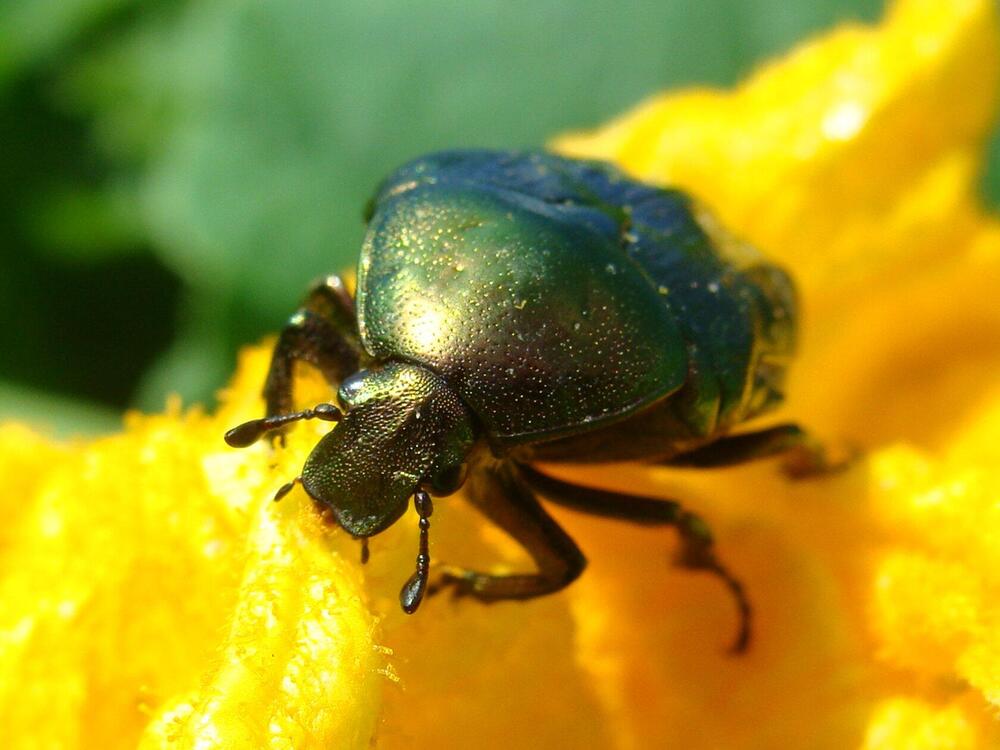 Фотография автора Павел Попов