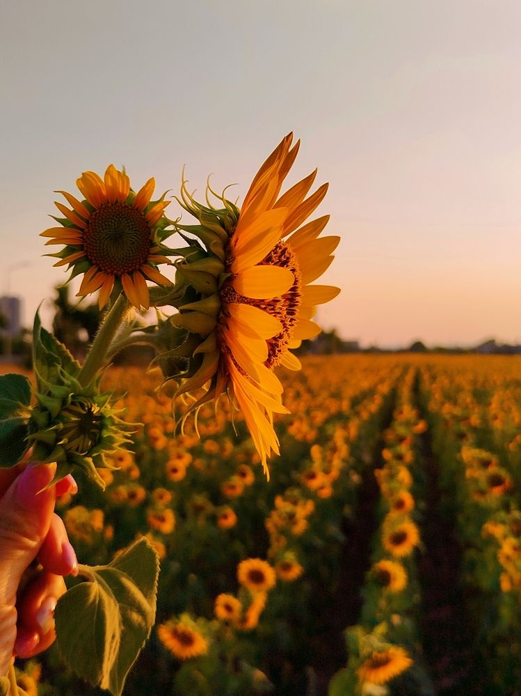 Photograph by Наталья Назаренко