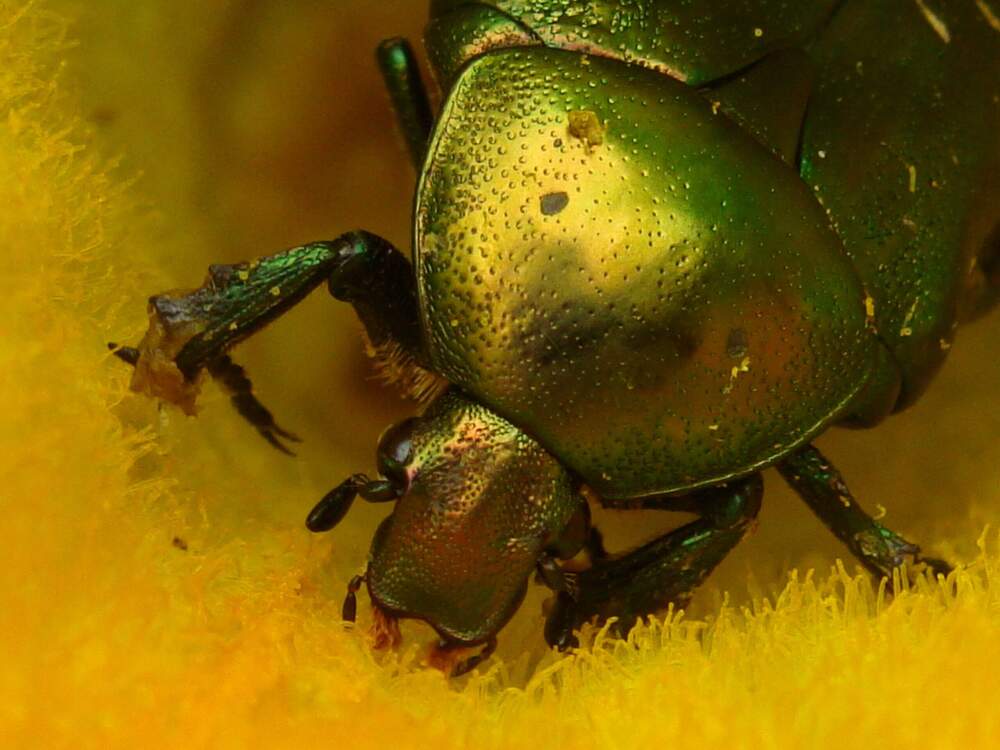 Фотография автора Павел Попов