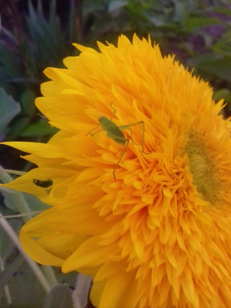 Photograph by Наталья Назаренко