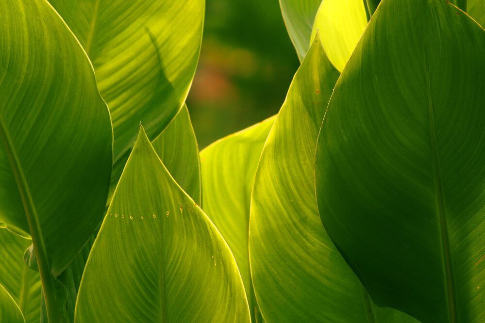 Photograph by shashiranjan prakash