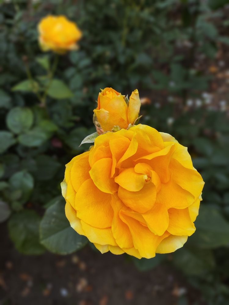 Photograph by Татьяна Пьянзина