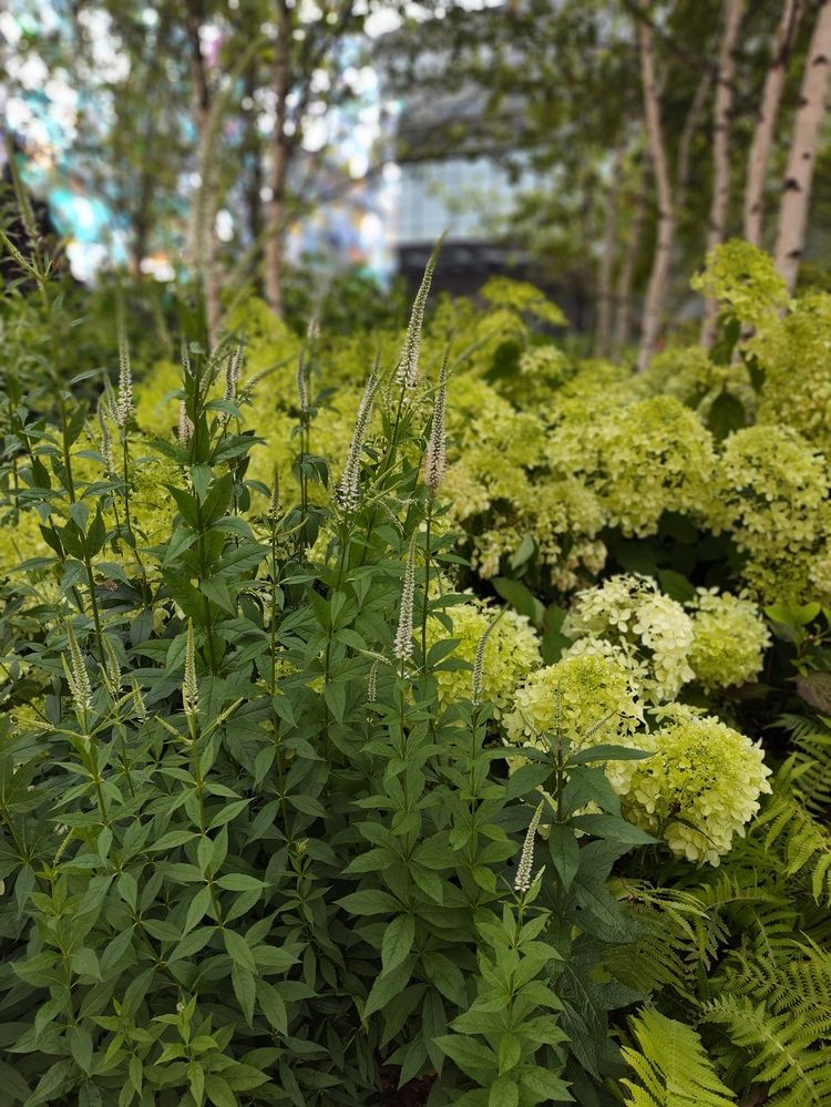 Photograph by Татьяна Пьянзина