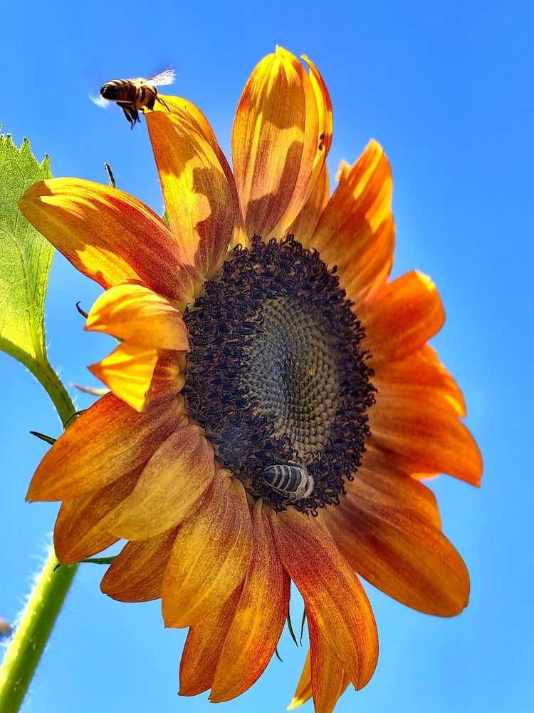 Photograph by Alen Brkić