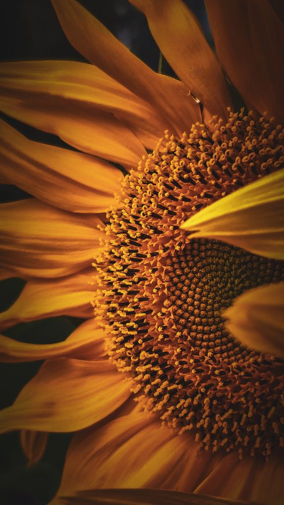 Photograph by Наталия Короленко