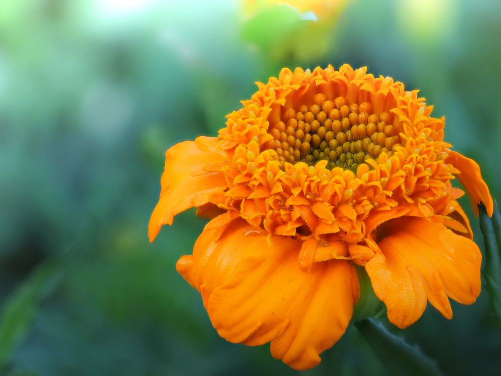 Photograph by Дмитрий Поварков