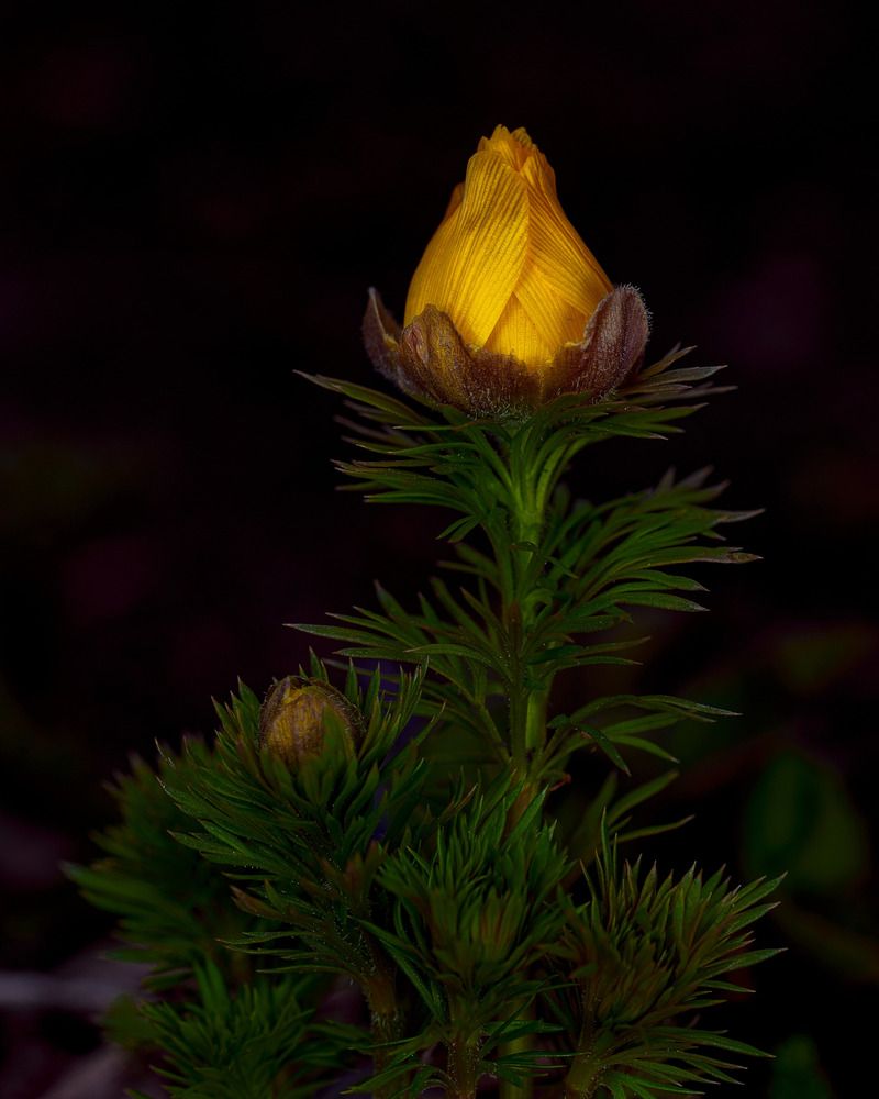 Photograph by Дмитрий Поварков