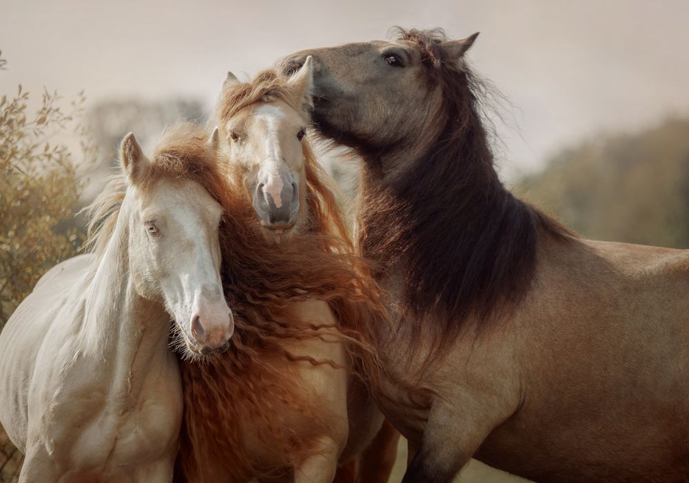 Photograph by Онучина Юлия