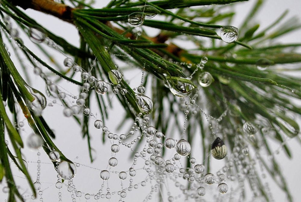 Фотография автора Наталья Решетник