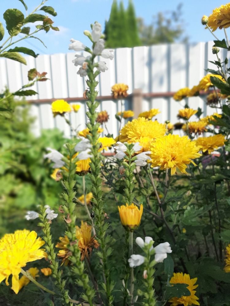 Photograph by Елизавета Иванова