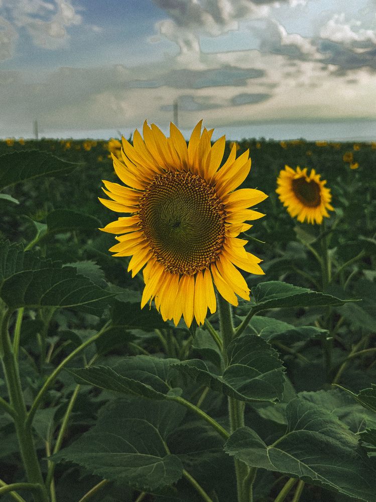 Photograph by Veronika Gromadina