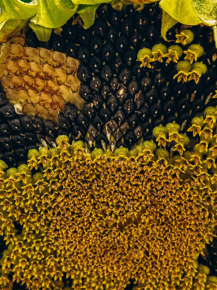 Photograph by Veronika Gromadina