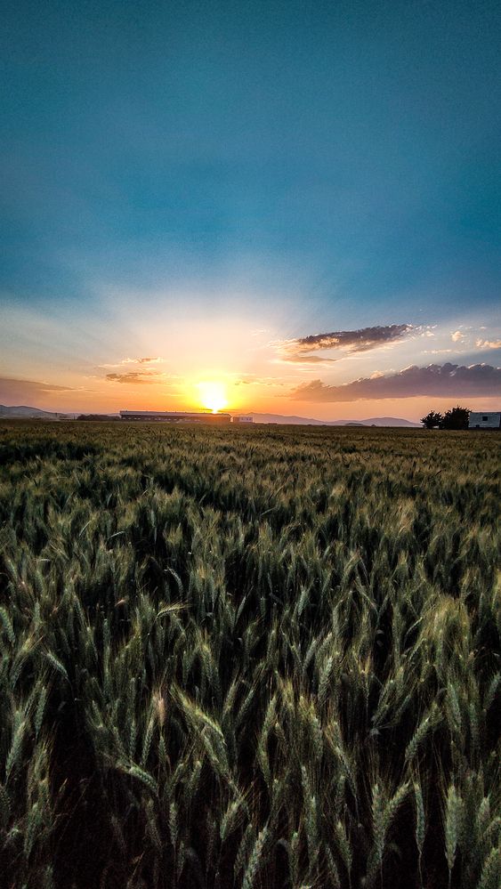 Photograph by Ehsan Fathi