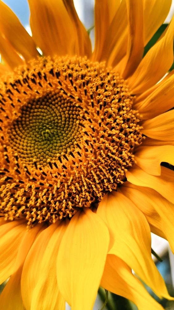 Photograph by Наталия Короленко