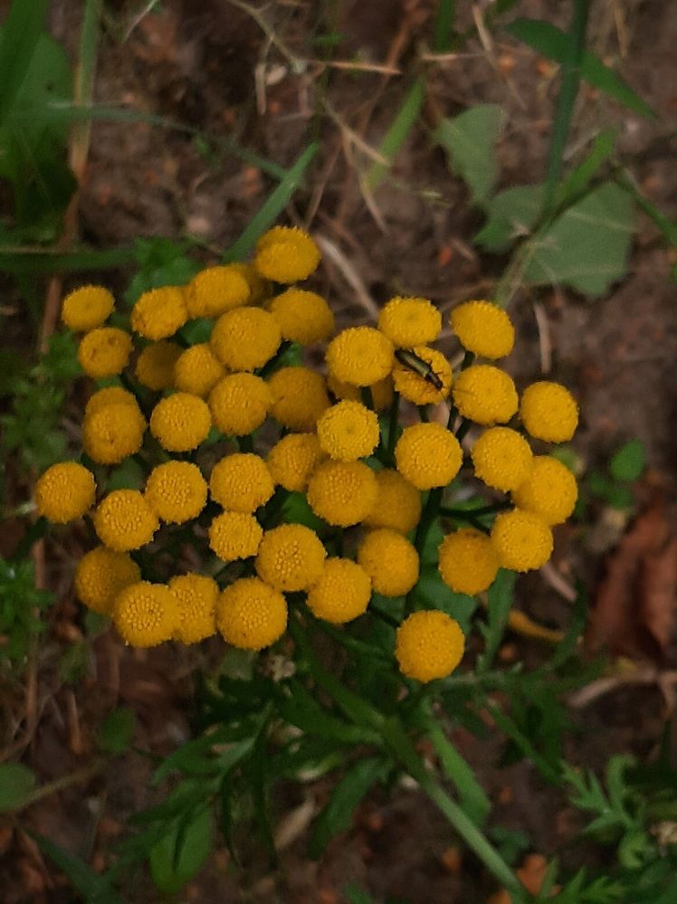 Photograph by Елизавета Иванова