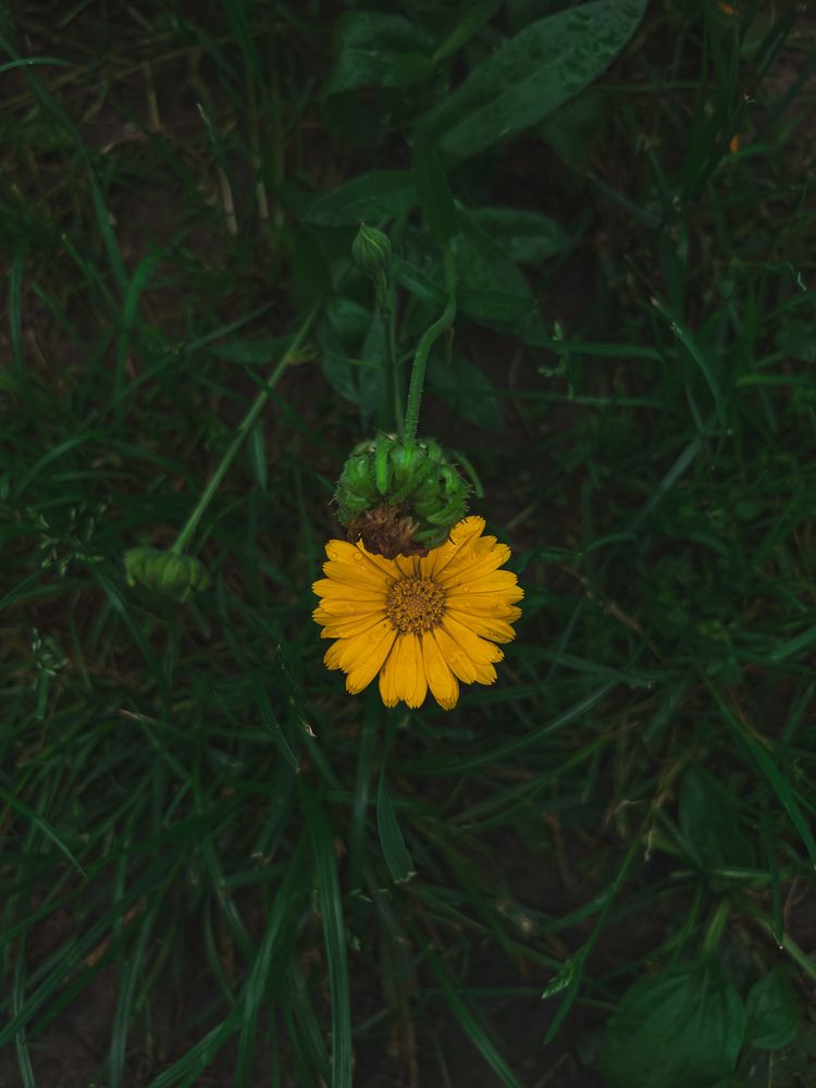 Photograph by Veronika Gromadina