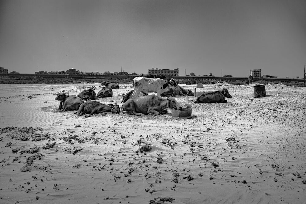 Photograph by shashiranjan prakash