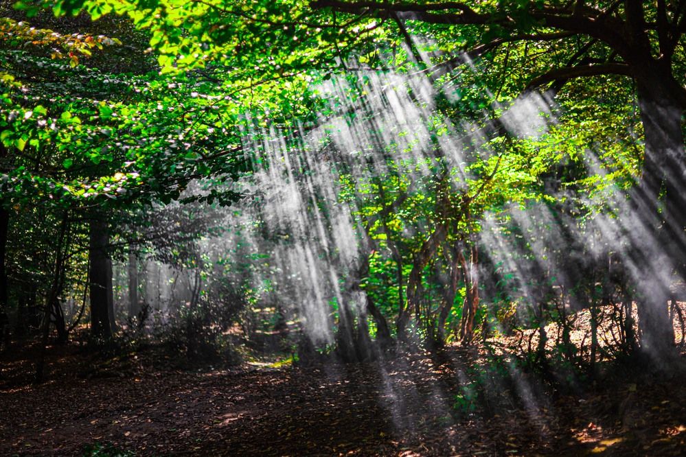 Photograph by Seyed taha Mosavi