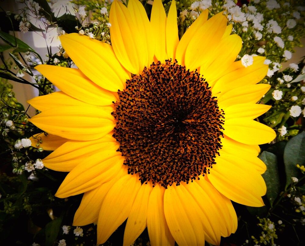 Photograph by HECTOR ANTONIO RAUCHS