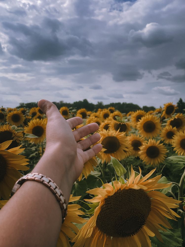 Photograph by Алена Ботова