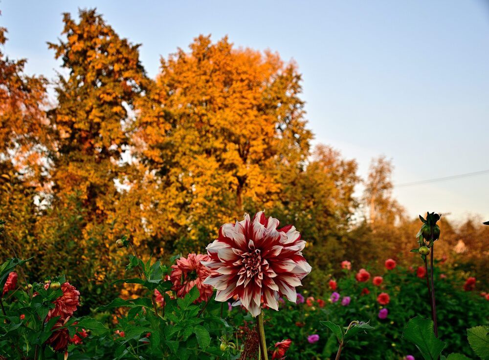Photograph by Владимир Мигонькин