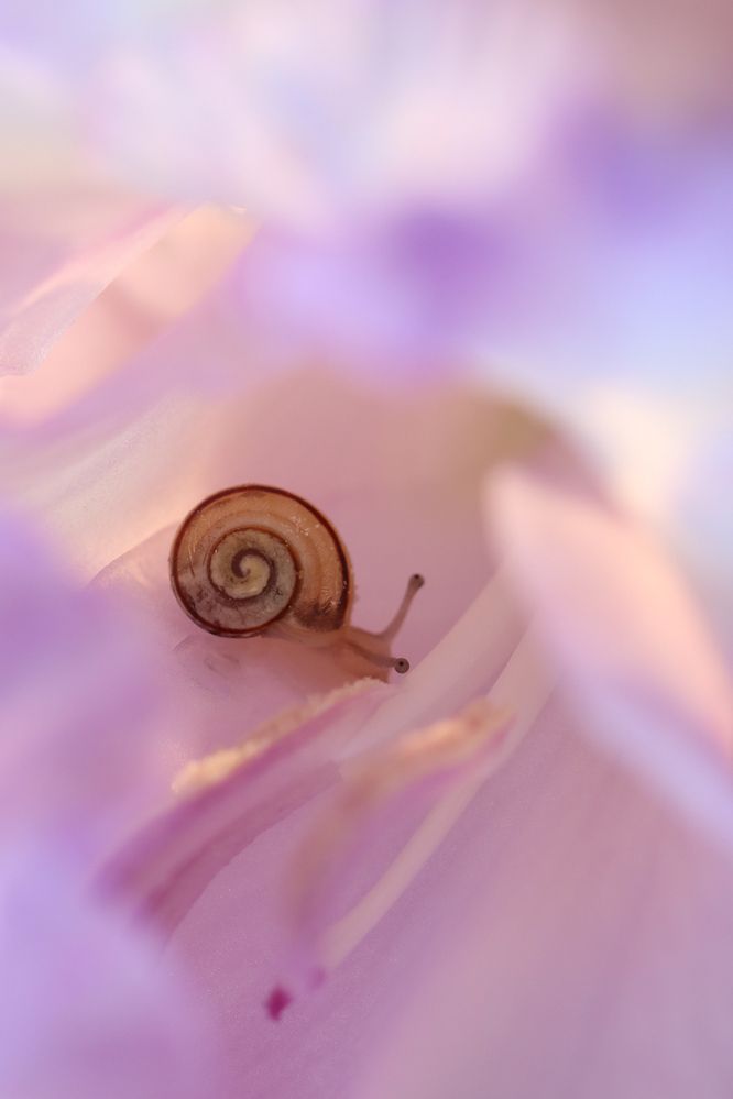 Photograph by Надежда Зайцева