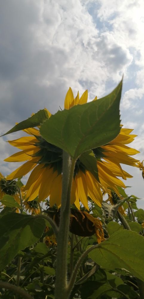 Photograph by Наталья Клячина