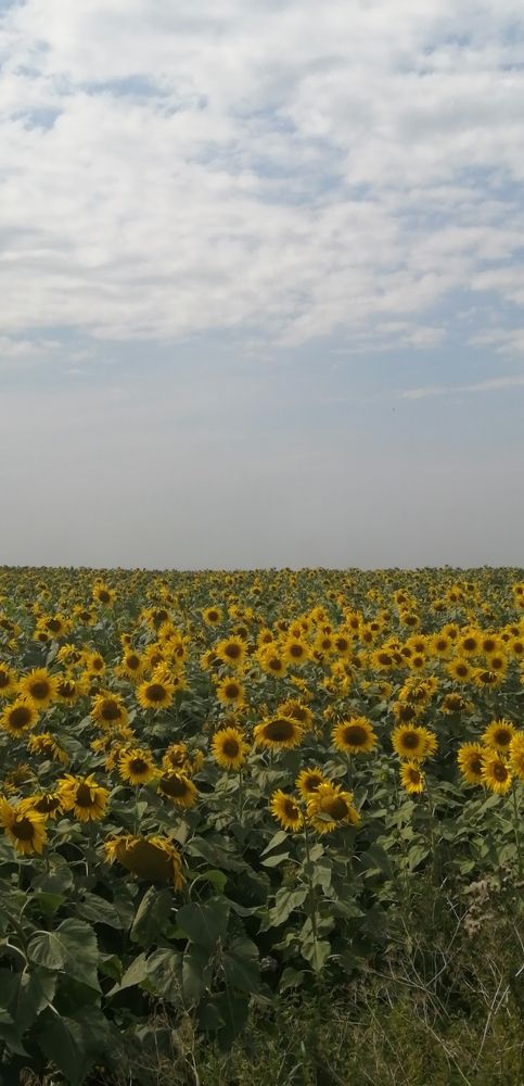 Photograph by Наталья Клячина