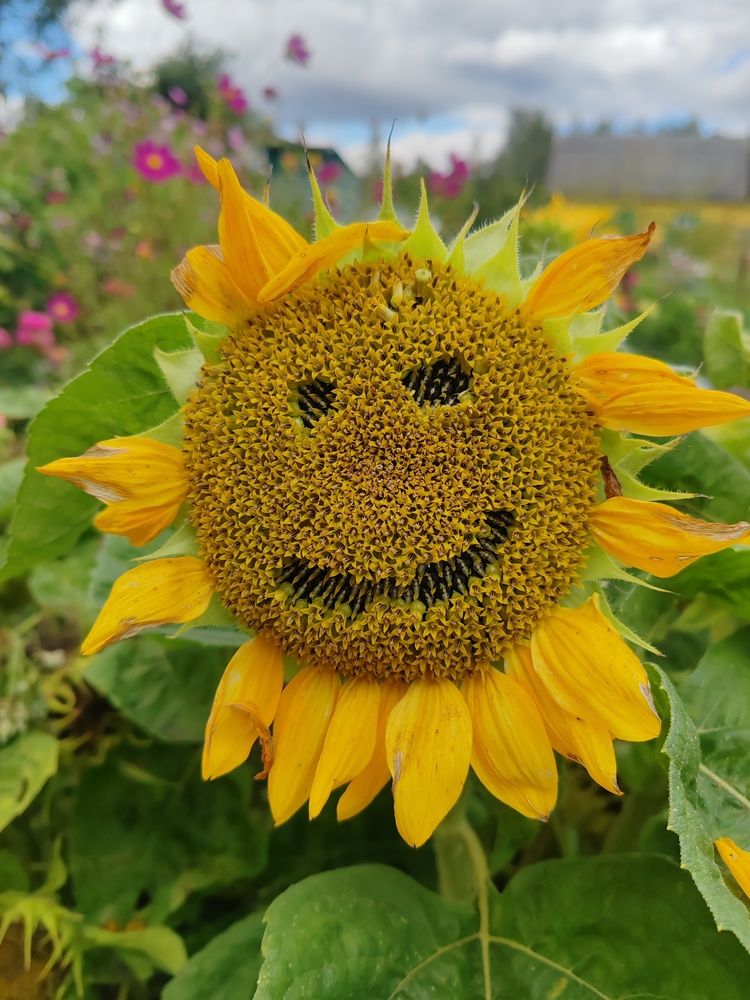 Photograph by Наталья Клячина