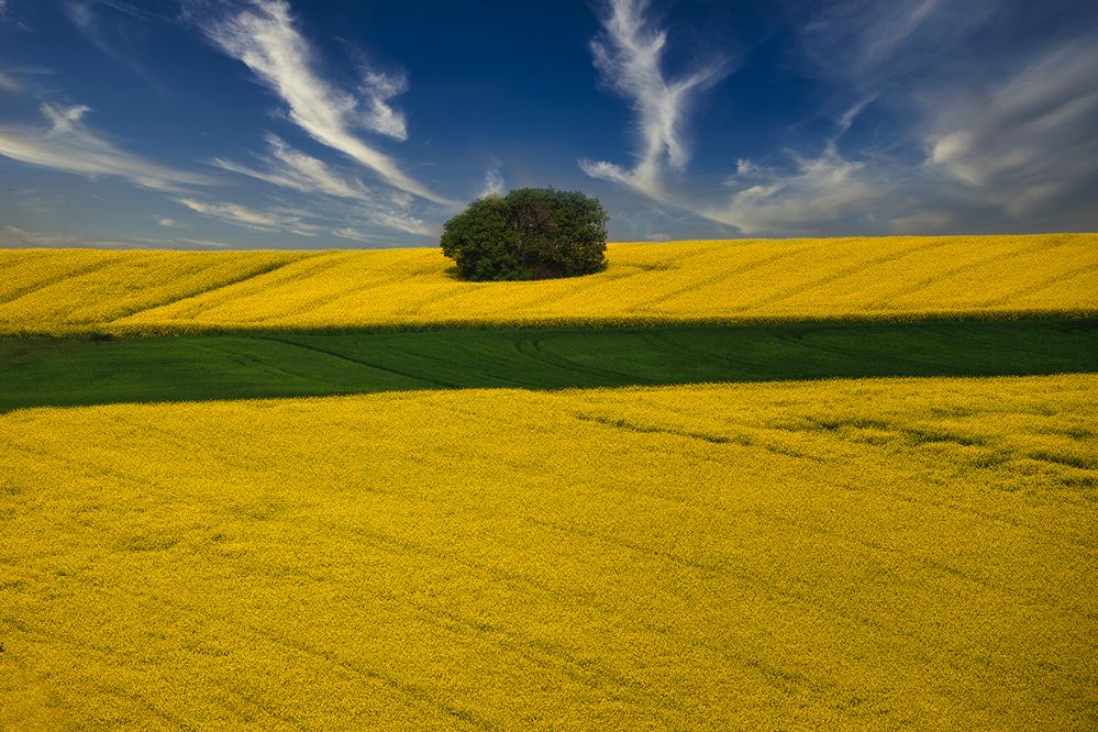 Photograph by Galip Çetiner