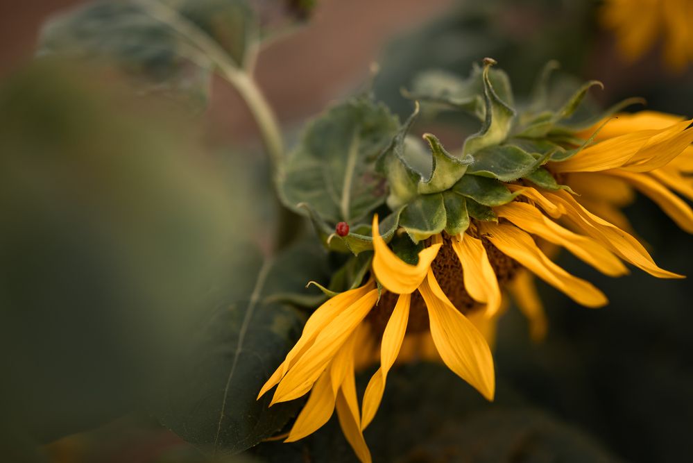 Photograph by Кончакова Дарья