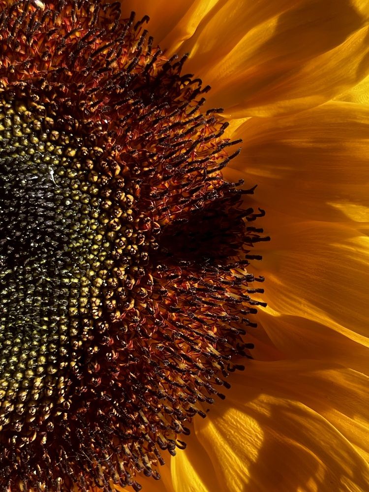 Photograph by Павел Швец