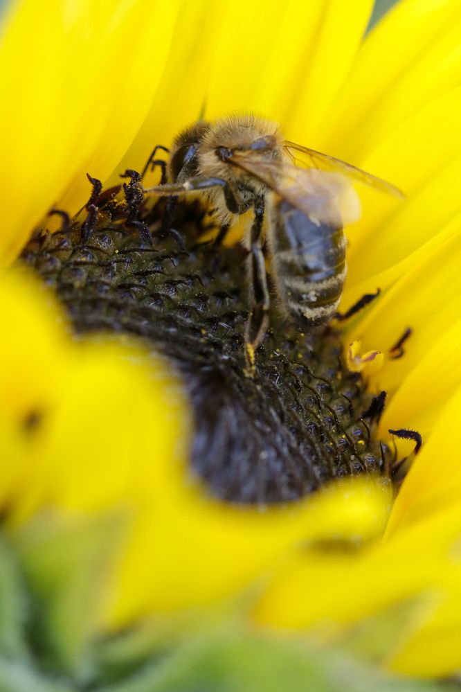 Photograph by Надежда Зайцева